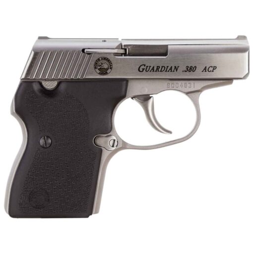 north american arms guardian 380 auto acp 25in stainless pistol 61 rounds 1618829 1